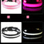 Nylon LED Night Safety Flashing Glow In The Dark Dog Leash Dogs Luminous Fluorescent Pet Dog Collar