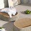Cat Scratcher Cat Scratch Bed Sturdy Scratcher Pad Oval Cat Scratch Pad Bowl Nest Multifunctional Pet Sleeping Mat for Indoor