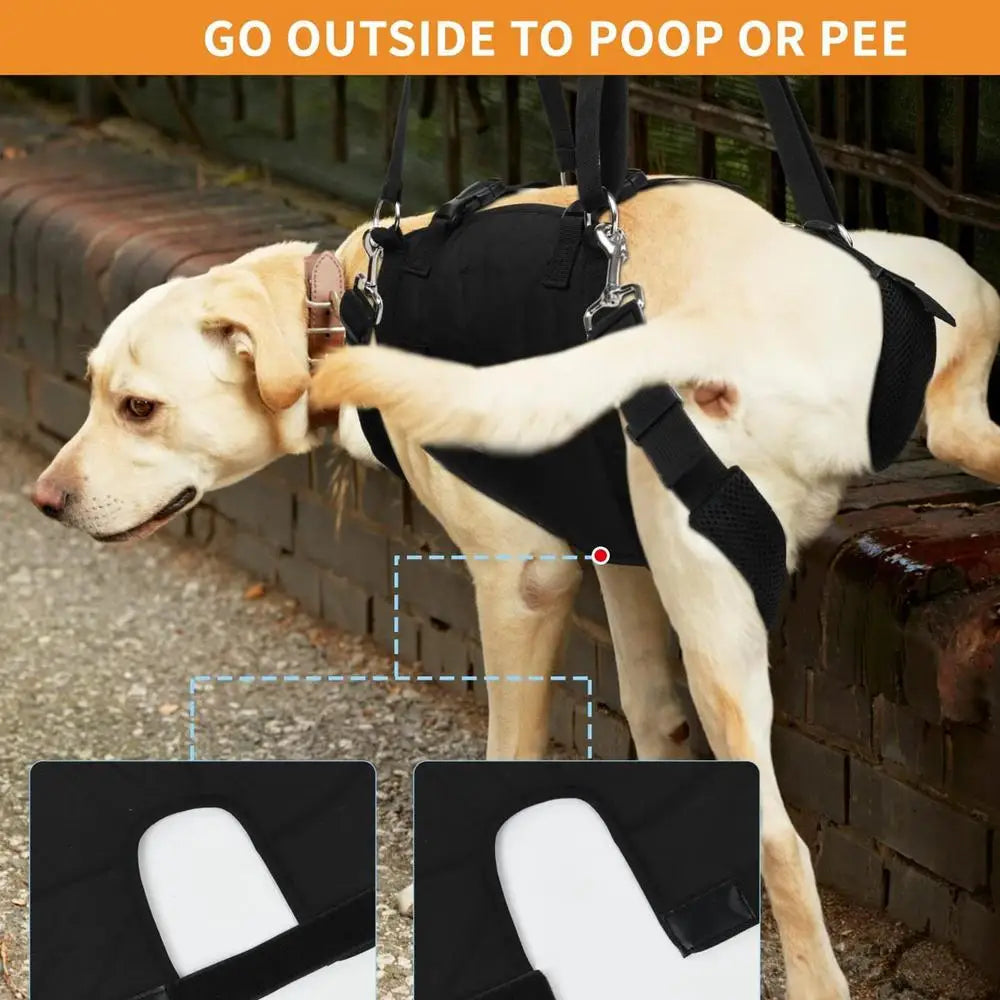 Dog Harness Medium Sized Dog Easy Walking Pull Dog Harness Dog Vest Harness with Control Handle No Choke Pet Neck Harness