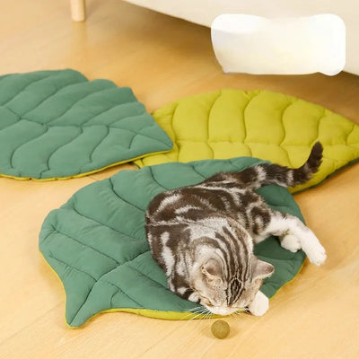 Kitten Bed Cats All Things Pet Accessory Houses House Products Beds Accessories Dog Mat Supplies Cushions Habitats Basket Puppy