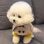 British Style Dog Winter Clothes Pet Clothes for Small Medium Dogs Teddy Chihuahua Puppy Pet Teddy Bib Windbreaker Cloak