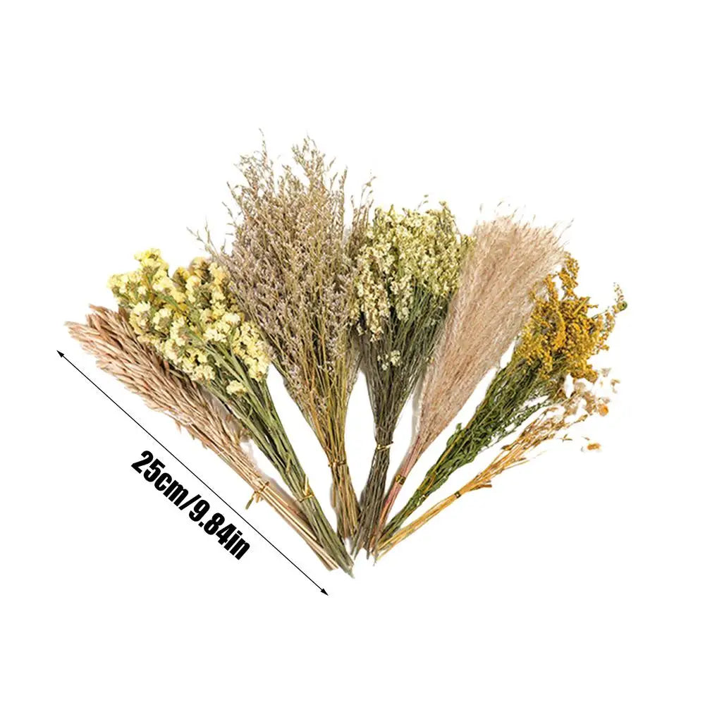 Flower And Plant Bedding Natural Hamster Bedding Hamster Deodorizing Bedding Small Animal Deodorant Product Landscaping Supplies