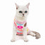 Cat Sleeveless Shirt Cat Recovery Suit Breathable E-Collar Alternative Vest for Cat Small Puppy Cute Printed Cotton Pet Clothes