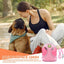 Pet Harness For Small Dogs No Pull Soft Padded Dog Vest For Medium Large Dogs Breathable Reflective Adjustable Soft Mesh Padded