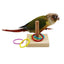 Bird Training Ring Toy Parrot Educational Toys Training Interactive Bird Supplies Bird Toys Random Color игрушки для попугаев