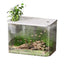 Fish Tank Aquarium Transparent Turtle Tank Aquarium Fish Bowls Small Aquariums Decorative Compact Tank For Turtle Breeding Small