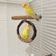 Natural Apple Tree Wood Bird Hanging ring swing Stand Pet Parakeet Budgie Hanging Play Toy Bird Cage Parrot Wooden Desk Holder