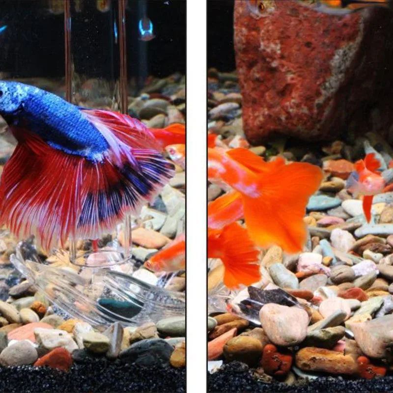 HighTransparent Acrylic Aquarium Fish Tank Shrimp Food Feeding Circle Feeder Floating Bottom Feeder Fish Shrimp With Suction Cup