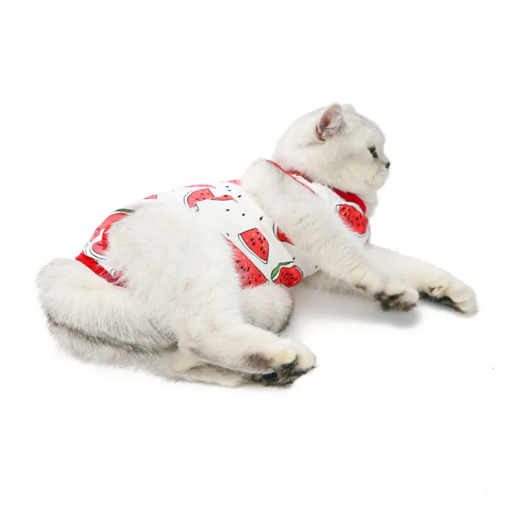 Cat Recovery Suit Kitten Suit E-Collar Alternative for Cats Puppies Small Dogs Abdominal Skin Anti Licking Pajamas Pet Clothing