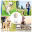 Pet Travel Water Dispenser Portable Puppy Water Bowl Dog Water Container Pet Water Dispenser With Food Container For Dog Cats