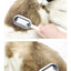 Grooming Brush Cleaning Massage Remover Comb For Cat Dog General Supplies With Water Tank Pets Products Accessories
