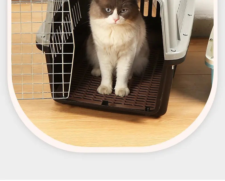 Pet air box, cat and dog car trunk cage, large medium and small cats and dogs can carry the checked box when they go out