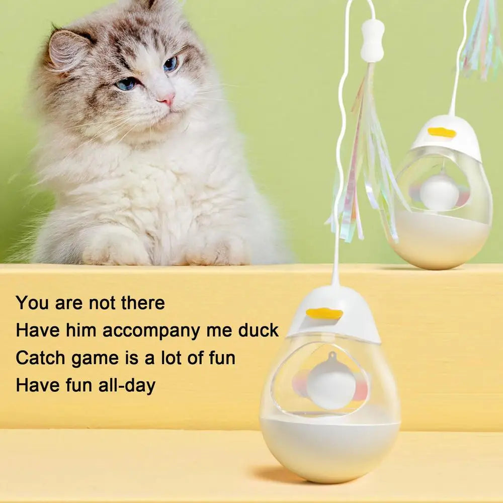 Interactive Cat Toys Cat Fun Interactive Games Interactive Ball Cat Puzzle Feeder Cat Food Puzzle Cat Food Ball Cat Snacks