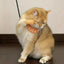 Mini Hands For Cats Paws Mini Finger Puppets Fake Small Finger Hand Puppet Fake Hand Toy Silicone Dog Funny Finger Puppets