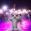 AKKUN Happy Cat Plush Stuffed Animal Cat With Sound Cute Cat Plush Interactive Cat Plush Stuffed Animal Happy Cat Kids Toys