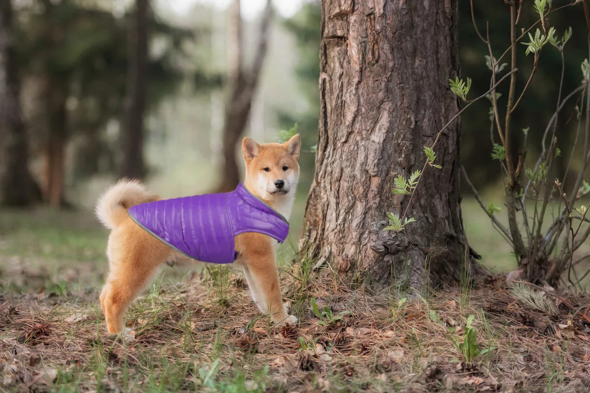 Warm Chihuahua Clothing Jacket Dog Winter Jacket for York Small Large Dog & Puppy Winter Bulldog Clothes Dog Coat Pet Clothes