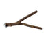 Natural Wood Pet Parrot Raw Wood Fork Tree Branch Stand Rack Squirrel Bird Hamster Branch Perches Chew Bite Toys Stick Supplies