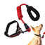 Reflective Dog Collar Adjustable Neck Collars With Rope Kit For Pet Puppy Weatherproof Dog Collar Padded Suitable Puppy Collar