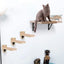 3Pcs Cat Mounted Wooden Cat Jumping Platform Climbing Ladder Shelves Cat Wall for Kitty Perch and Playing