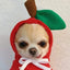 Cute Dog Hoodie Pet Fruit Clothes Funny Dog Cat Coats with Hat Halloween Cosplay Costume Dogs Hooded Sweatshirt for Puppies Cat