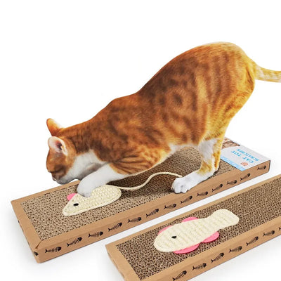 Cat Scratching Cardboard Matt