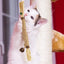 Silvervine Sticks For Cats Catnip Molar Rod With Bell For Indoor Cats Edible Interactive Cat Nip Ball Teethers With Raffia Sisal
