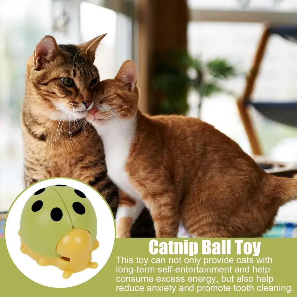 Cat Catnip Ball Toy Wall Mounted Ladybug Shape Kitten Chew Toy Edible Toy Ball With Catnip Cat Teething Toys For Indoor Outdoor