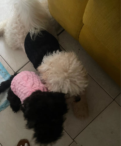 Warm Dog Clothes Knitted Clothes for Dogs Chihuahua Sweater for Small Dogs Winter Clothes for Sphinx Cat Dog Sweater for York