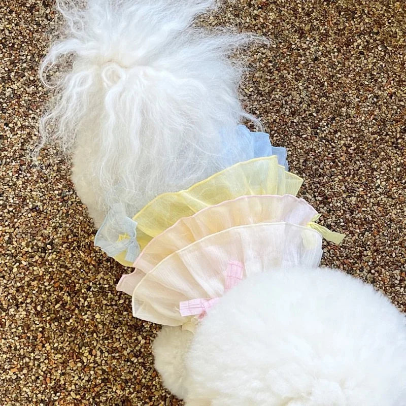 Dog Dress Chiffon Dog Princess Skirt Pet Vest Small Dog Outfit Puppy Summer Clothes Chihuahua Pug Dog Wedding Girls Dog Costume