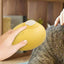 Cat Steam Brush Steamy Dog Brush 4 In 1 Electric Spray Cat Hair Brushes for Massage Pet Grooming Comb Hair Removal Combs