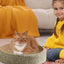 Cat Scratcher Cat Scratch Bed Sturdy Scratcher Pad Oval Cat Scratch Pad Bowl Nest Multifunctional Pet Sleeping Mat for Indoor