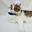 2018 Lovely Stylish Navy And Sailor Style Hat Plus Scarf Suit For Dogs And Cats Pet And E Navy Cloak