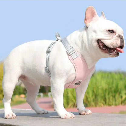 X Dog Harness and Leash Set Breathable Pet Chest Strap Reflective French Bulldog Vest Harness for Small Medium Dogs Puppy Collar