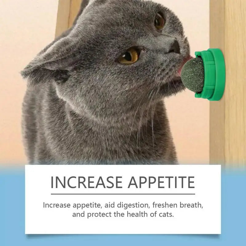 Cat Lick Ball Pet Biting Lick Chew Toys Kitten Catnip Roller Ball Cat Treat Ball To Stimulate Appetite Toys