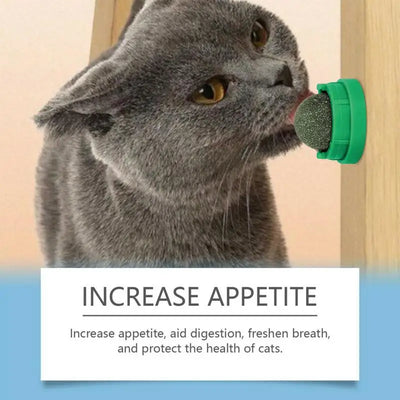 Cat Lick Ball Pet Biting Lick Chew Toys Kitten Catnip Roller Ball Cat Treat Ball To Stimulate Appetite Toys