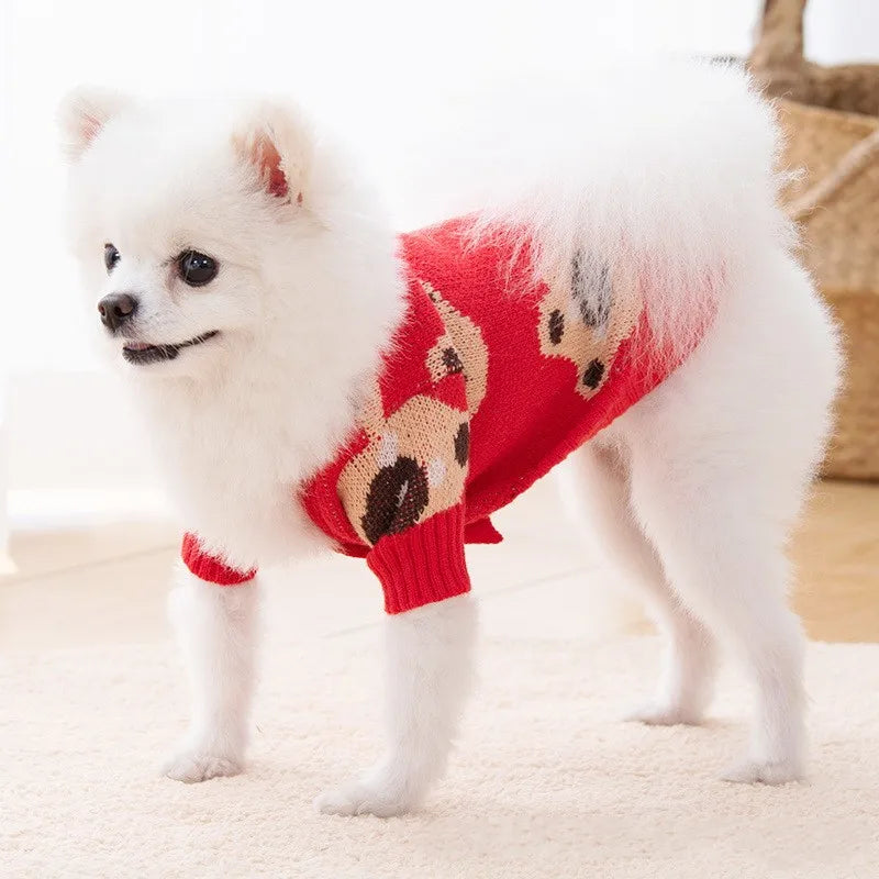 Luxury Cardigan Winter Warm Dog Clothes Dog Sweaters for Small Dogs Bear Print Puppy Coat Pet Sweatshirt Bichon Knitted Sweater
