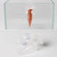 Automatic Fish Feeder Brine Shrimp Feeder Red Worm Feeding Feeder Worm Funnel Cup Fish Food Feeding Tool with Suction Cup New