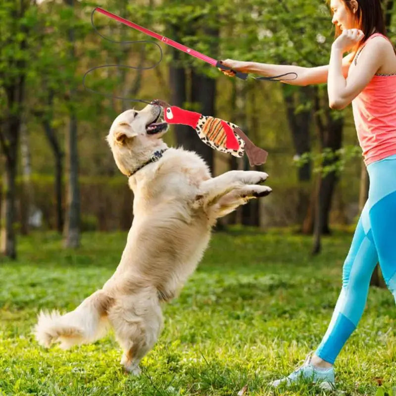 Dog Extendable Teaser Wand Interactive Flirt Pole Fun Toys With Nylon Rope & Plush Lure Toy Puppy Wand Rope For Training