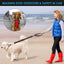 Pet car seat belt rope, circular ring, dog car retractable elastic reflective belt, dog towing rope
