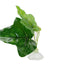 1Pc Artificial Aquarium Leaf Plants Decoration Betta Fish Rest Spawning Ornamental Plant Betta Fish Play Relax Hide Leaf Hammock