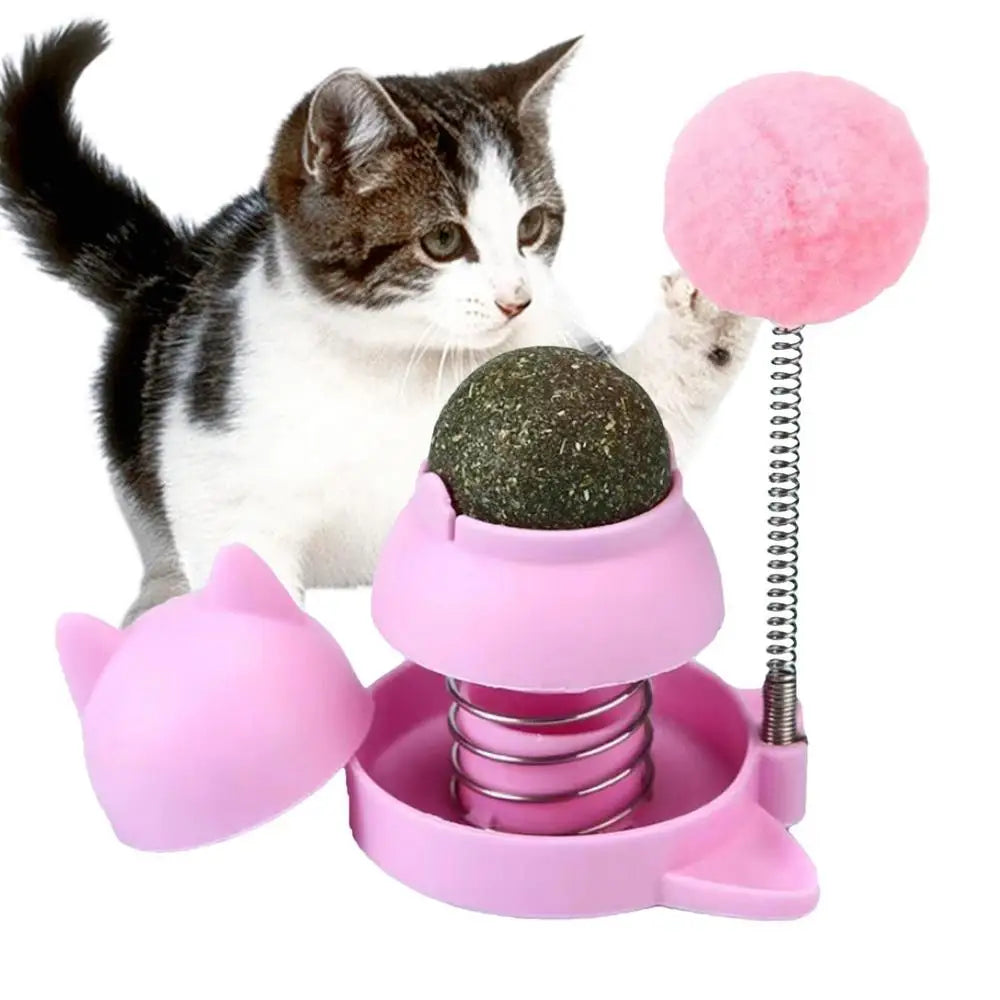 Catnip Ball for Cats Wall Rotatable Cat Licking Balls Edible and Healthy with Spring Ball Cat Licking Balls for Cats Catnip