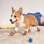 Pet Shoes Waterproof Non Slip Puppy Snow Booties for Small Dogs Chihuahua Boots for Winter Tiny Cat Shoes for Cold Weather 4pcs