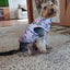 Dog Clothes For Small Dogs Yorkia Mini Chihuahua Dog Clothes Winter Cat Jacket Coat For Pug Puppy Down Coat Sphynx Pets Apparel