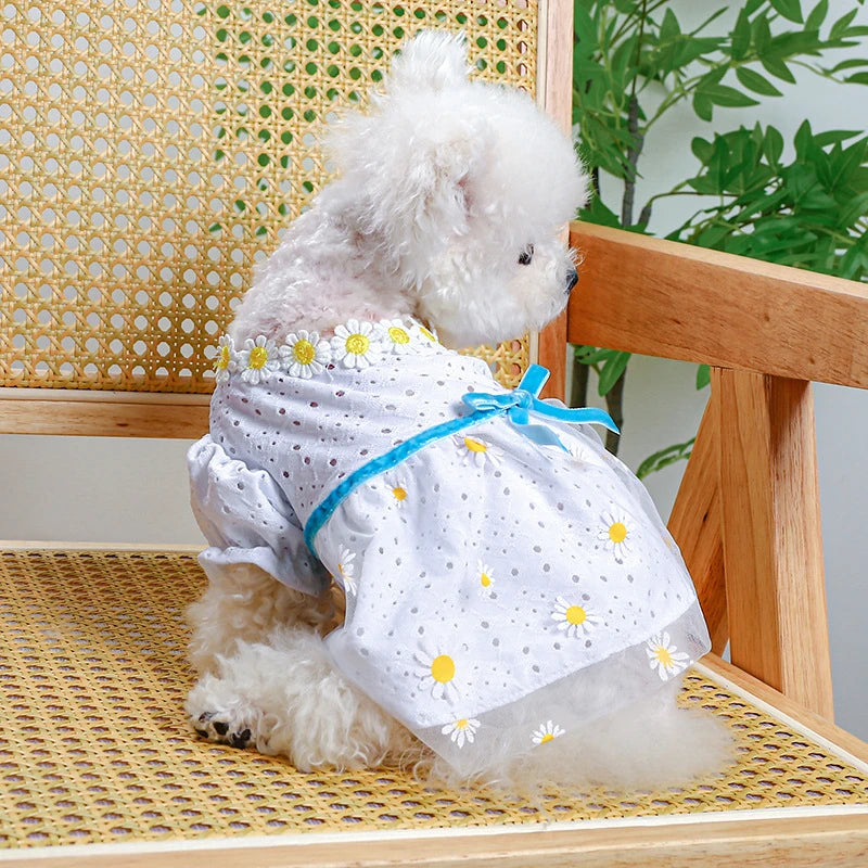 Daisy Embroidery Fancy Dresses for Small Dogs Hollow Veil Princess Party Cat Clothing York Dog New Designer Spring Puppy Clothes