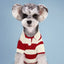 Striped Pet Polo Shirt Summer Dog Clothes for Small Dogs Cotton Puppy Vest Chihuahua Bichon Costume Cat T Shirt Dog Undershirt