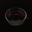 Transparent Aquarium Fish Tank Shrimp Food Feeding Circle Glass Feeder Floating Bottom Feeder Fish Shrimp Aquarium Accessories