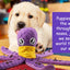 Dog Enrichment Toys，Octopus Dog Toys，Dog Snuffle Toy，Helps pets eat slowly, Dog Puzzle Game Interactive Toy，Slow Feeder Game