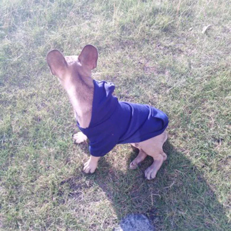 Winter Pet Doggy Clothing Leisure Small Dogs Hoodies Coat for Puppy Soft Warm Cat Dog Sweater Sweatshirt Teddy Chihuahua Clothes