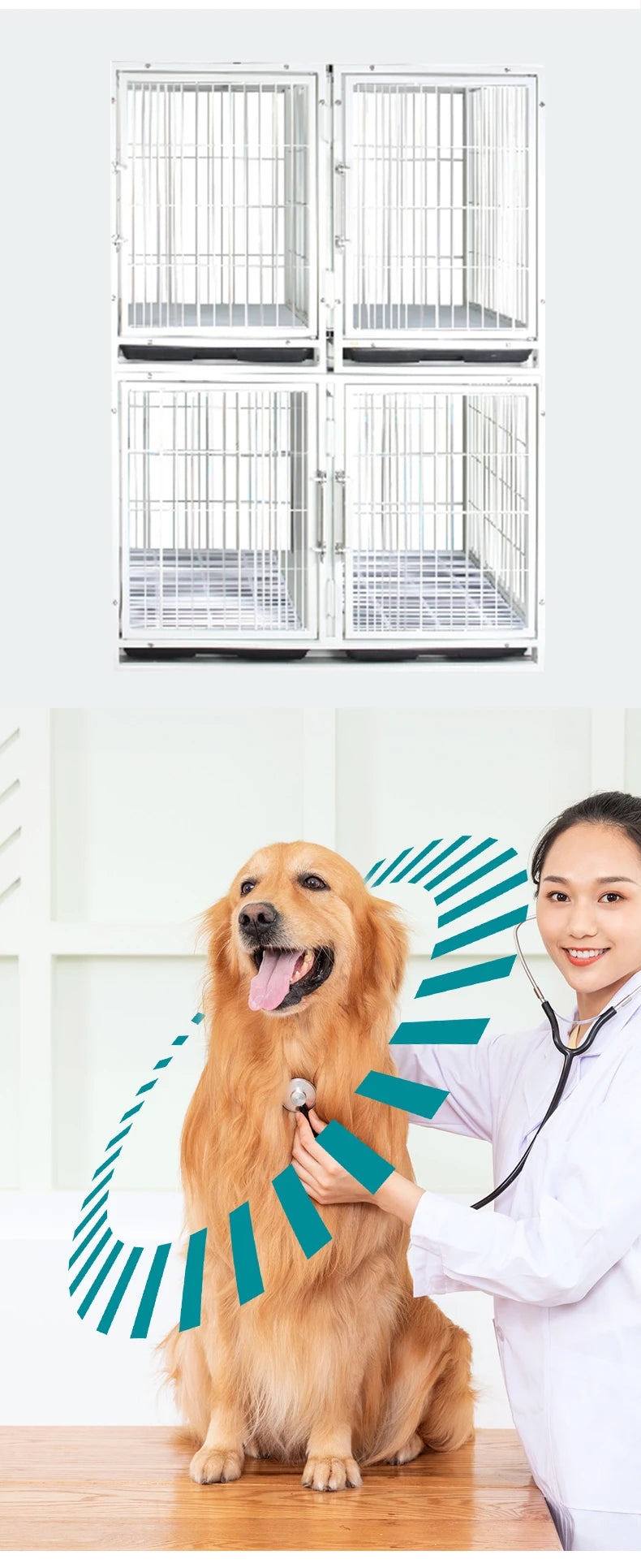 Good Price Veterinary cage Stainless Steel Four Sets of Dog Cat Stainless Steel Pet Cage