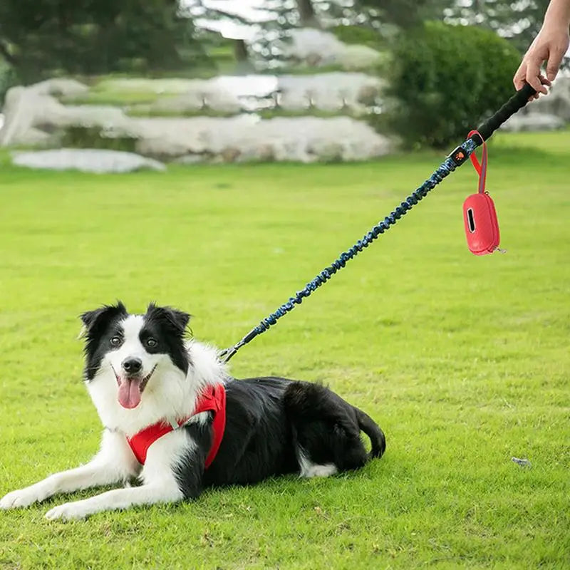 Dog Poop Bag Dispenser Portable Thicker Poop Bag Holder Durable Poop Bag Dispenser Carrying Strap Included for Walking Running
